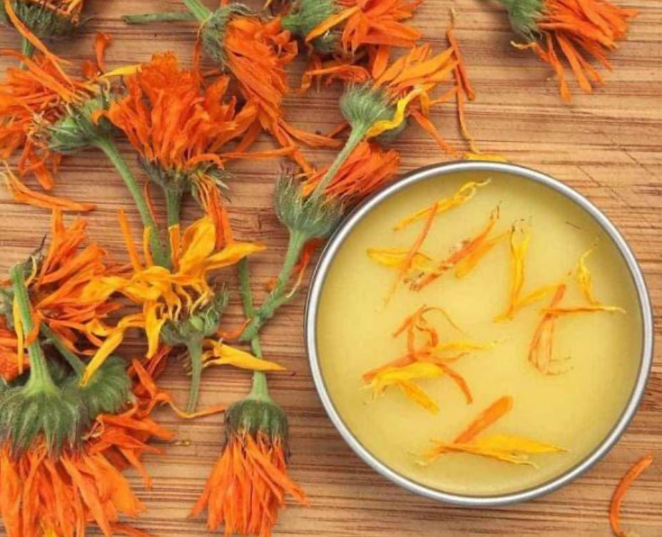 Do-it-all Calendula Salve